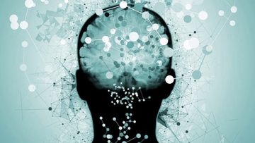 Can Your Gut Microbiome Be Causing Anxiety or ADHD Symptoms?