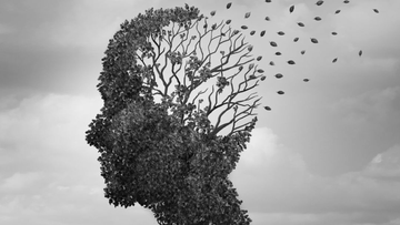 The Gut–Brain Axis and Alzheimer’s Disease: Could Gut Bacteria Play a Role?