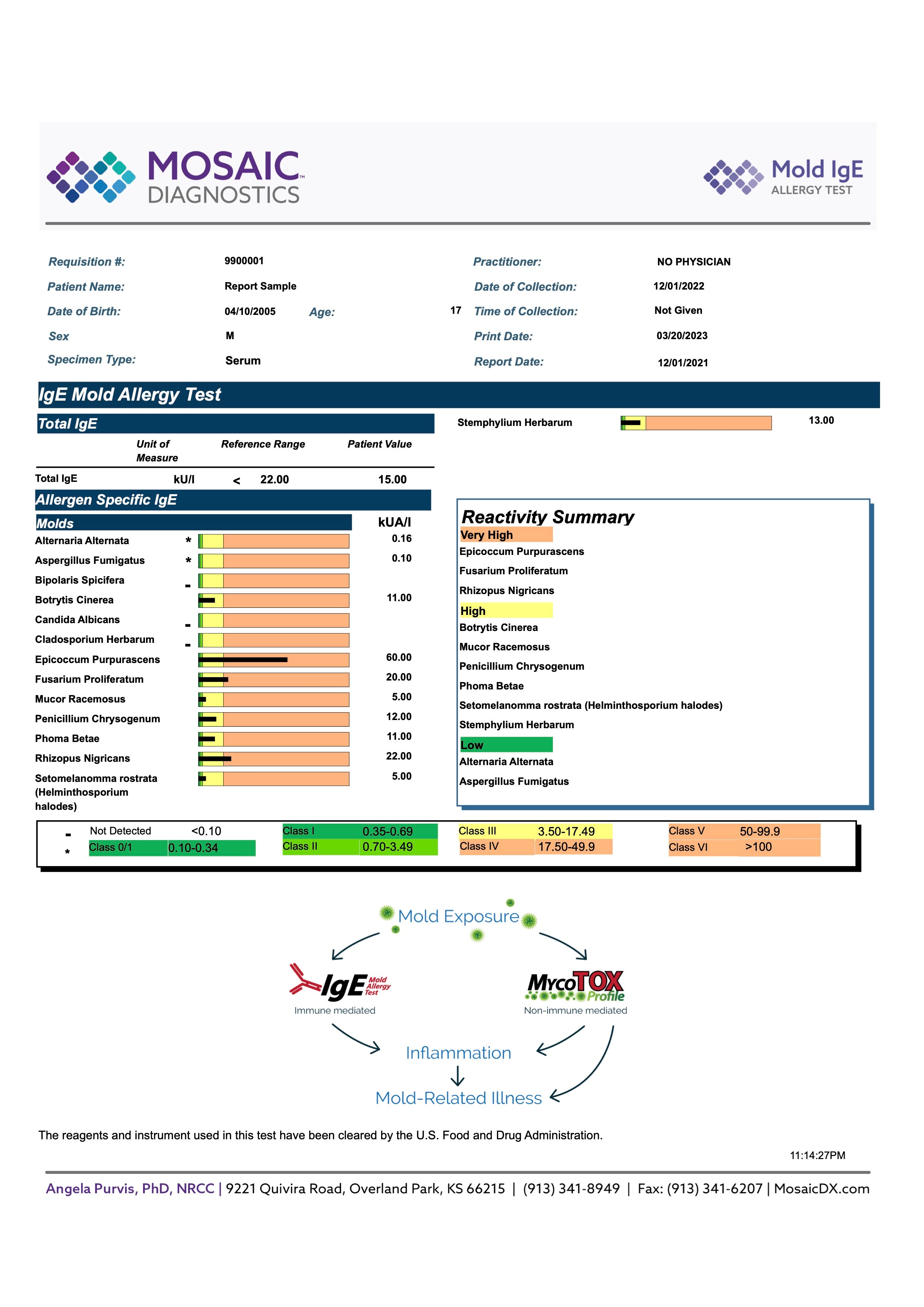 Mould Immune Response - IgE Mould Allergy Test