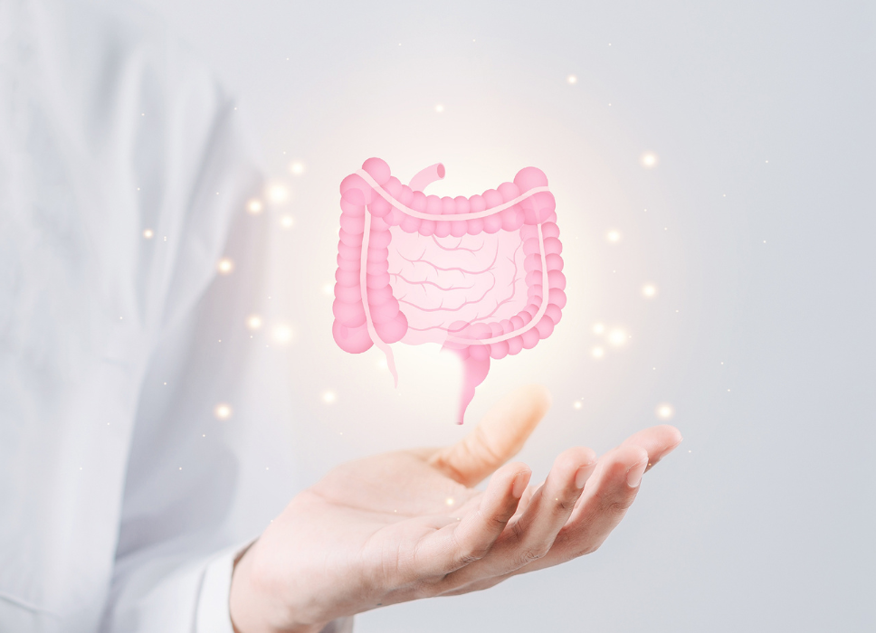 The Advanced Gut & Health Assessment