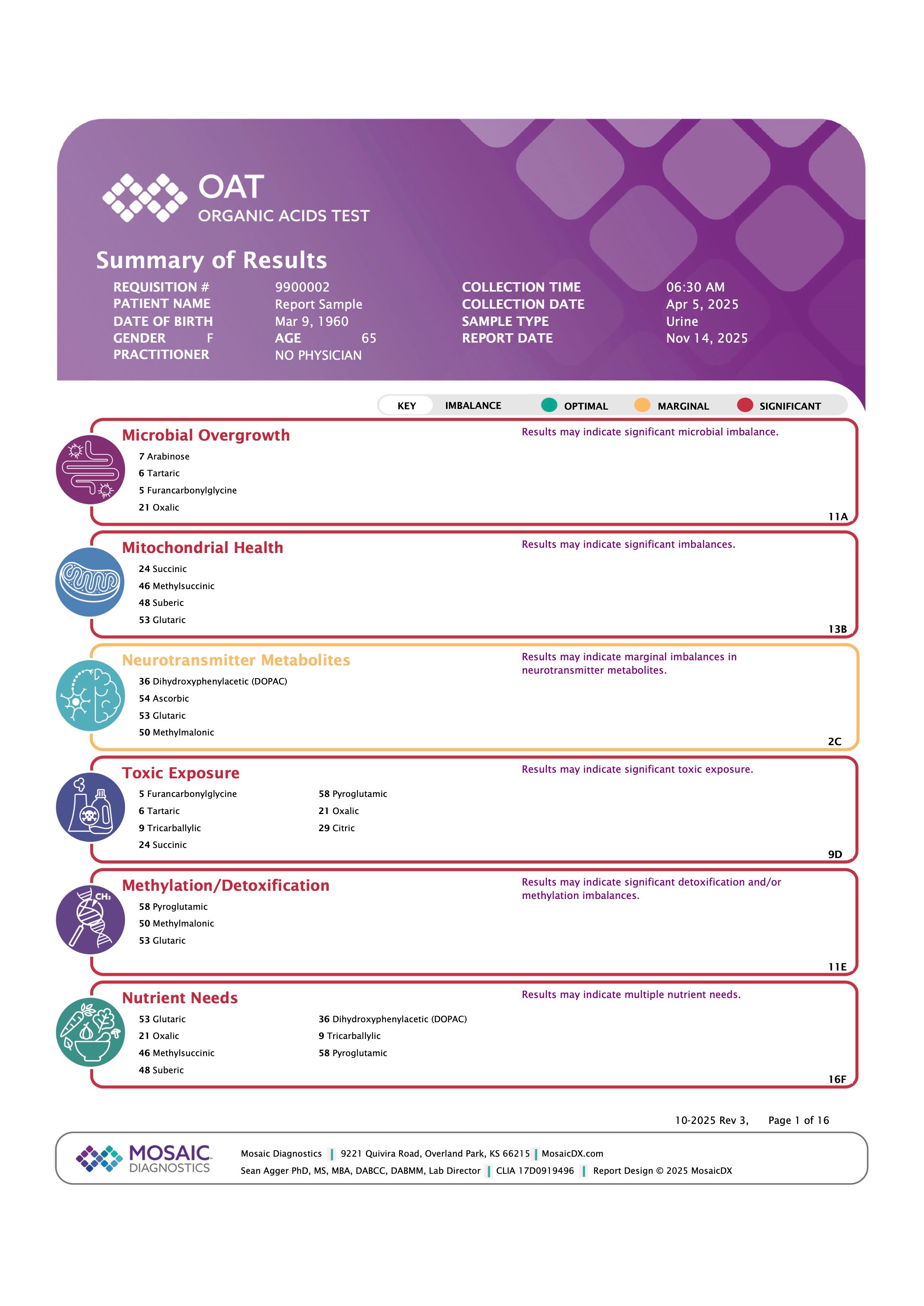 Organic Acids Test (OAT)